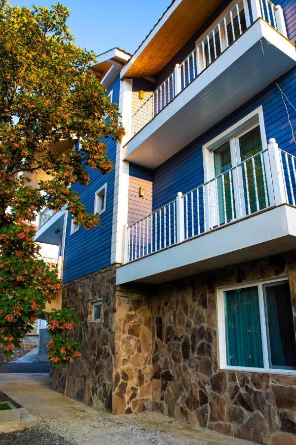 Blue Heaven Hotel Bakuriani Kültér fotó